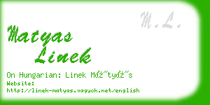 matyas linek business card